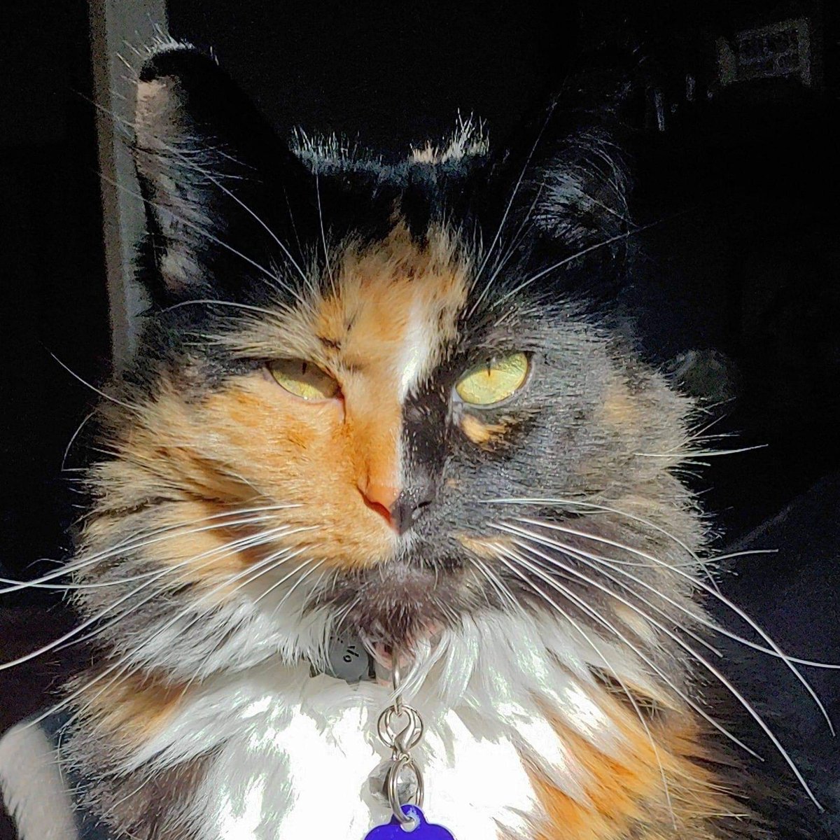 NeOhioDj's tweet image. She means business #foodnow