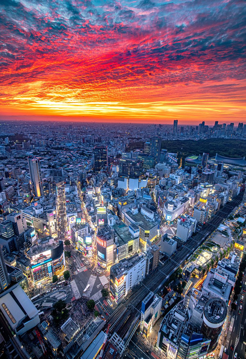 haskap1017's tweet photo. 50000いいねありがとうございます✨✨✨
爆焼け渋谷スカイをどうぞ🌆 https://t.co/9TtRibvnMU