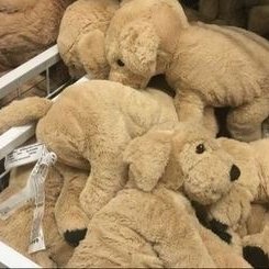 ꪆৎ 𝆬 ˖ Hanni tweet media