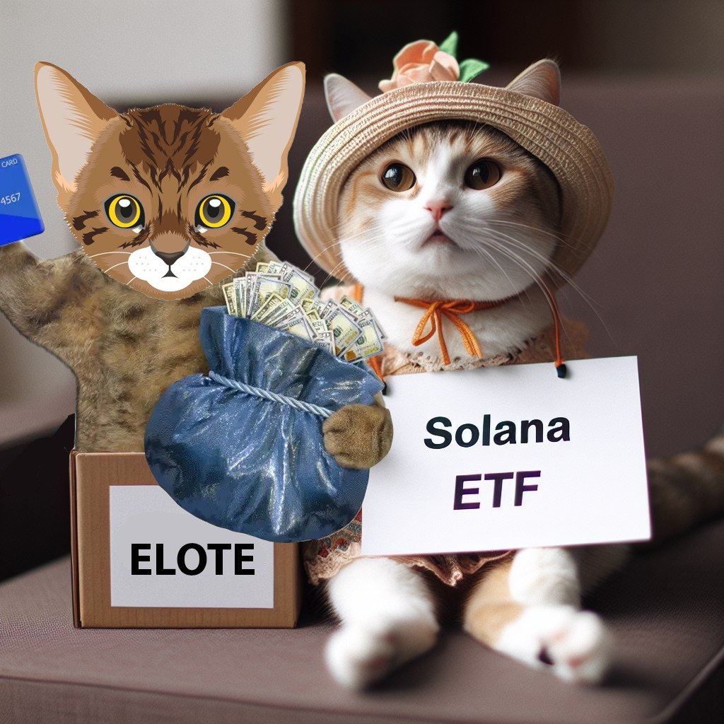 Elotè | SOL Chain tweet media