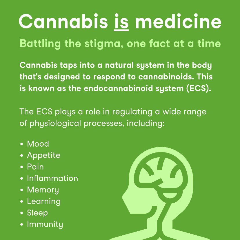 cannarelief420's tweet image. #cannabisculture #NaturalSolutions 🪴