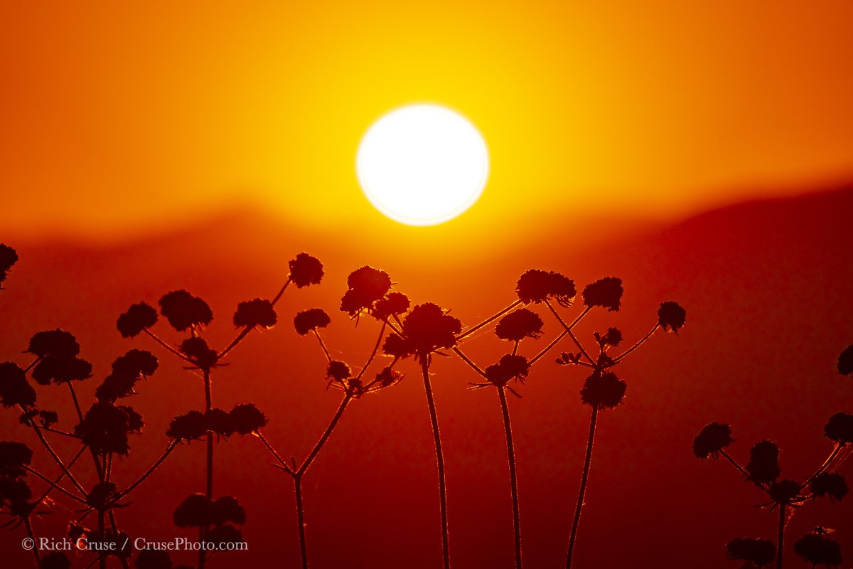 Rich Cruse Photo (@crusephoto) on Twitter photo Tonight's #sunset from <a href="/cityofmenifee/">City of Menifee, CA</a> <a href="/VisitCA/">Visit California</a> . #StormHour #ThePhotoHour #CAwx #VisitCalifornia Tonight's #sunset from <a href="/cityofmenifee/">City of Menifee, CA</a> <a href="/VisitCA/">Visit California</a> . #StormHour #ThePhotoHour #CAwx #VisitCalifornia