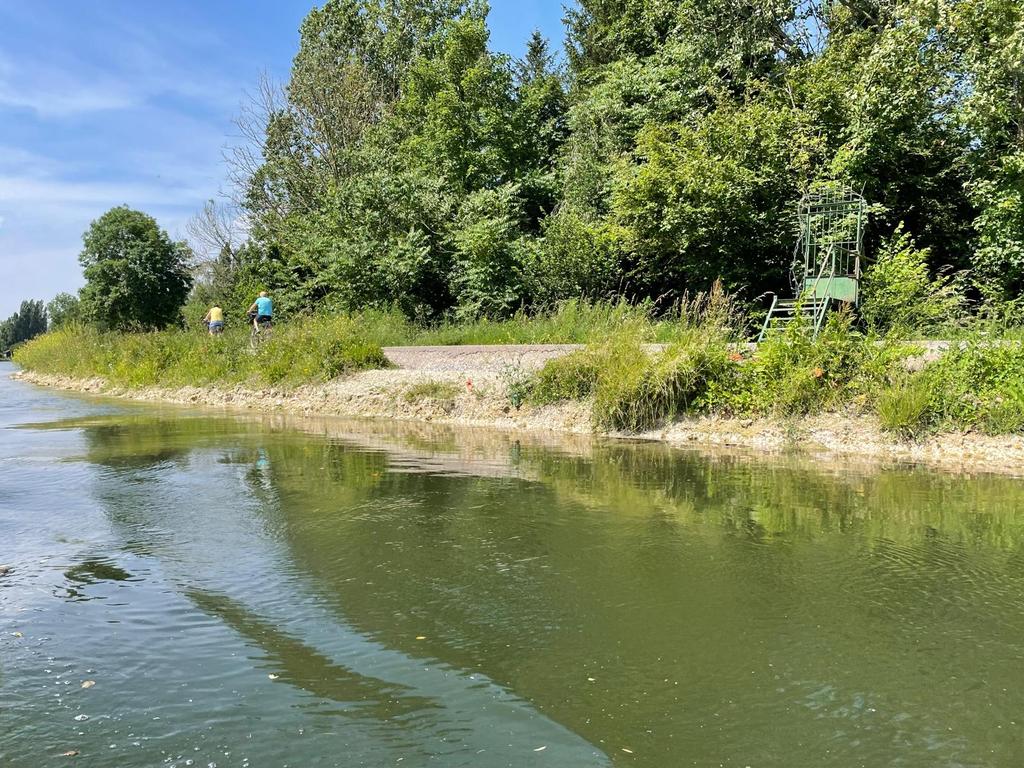 Bonjour <a href="/HubertdeJenlis/">Hubert de Jenlis</a>, sauf erreur, sur ce cliché (pris à la jonction Avre-Somme), on aperçoit déjà le géotextile et un leger affaissement. L'enrochement de devait-il pas être recouvert, partout, de vase curée dans le contre-fossé? D'avance merci 🤜🏻🤛🏻
#Somme
#hortillonnages