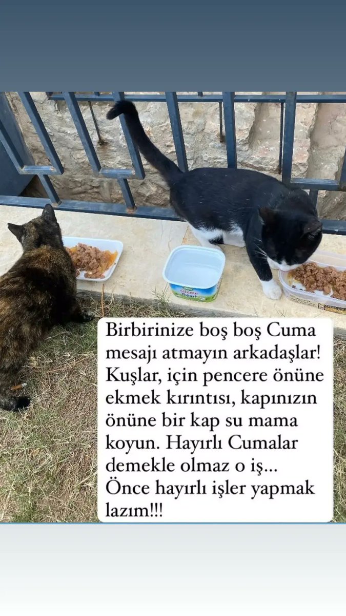 sonamazonnn's tweet photo. Velhasıl-ı Kelam; Hayat bir imtihansa,
"Hasbünallahü ve ni'mel vekil" der!
Sığınırız Yüce Mevlaya. !

#HayırlıCumalar 🇹🇷 https://t.co/v7hZbADbCF