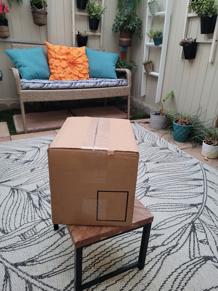 Something special was delivered today.
#elsewhenpress
#unboxing
#amreading
#kcaegis