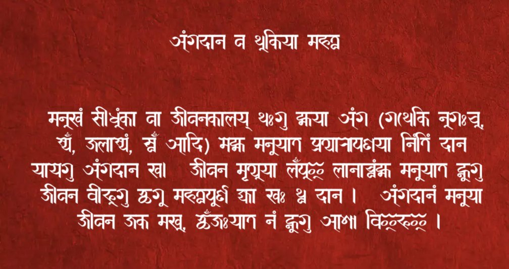 Swoniga (@swoniga13) on Twitter photo 