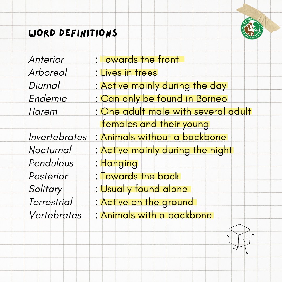 sukaurainforest's tweet photo. Enhance your wildlife knowledge with our detailed glossary! 

Dive into the fascinating world of wildlife terminology to deepen your understanding of the natural world and become a wildlife expert! 🌿🦜🌞🌙🦎 https://t.co/OIEsuUyvPW