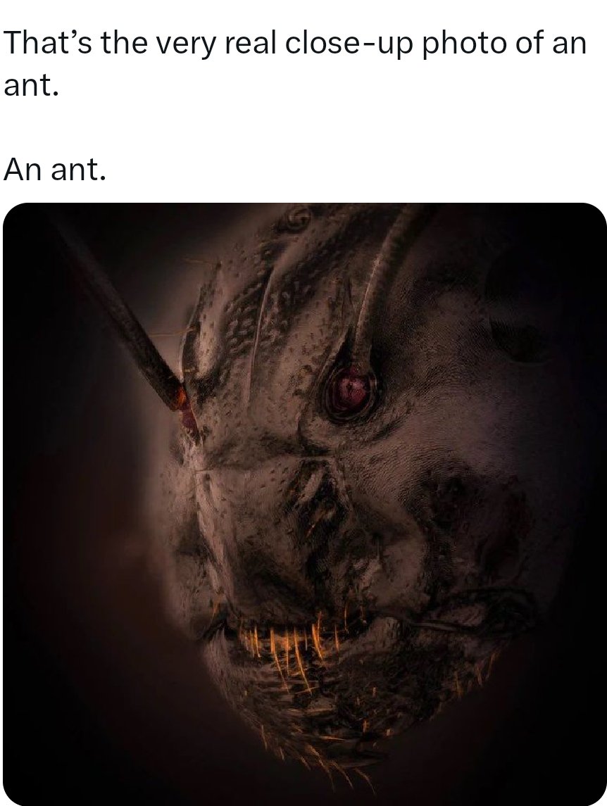 indiclogic's tweet image. Haters will say as they please 
but
this is a real close-up photo of Mohabbat Ki Dukaan !!
😎😉😂🤣
#Pappu he #Paapi hai ...