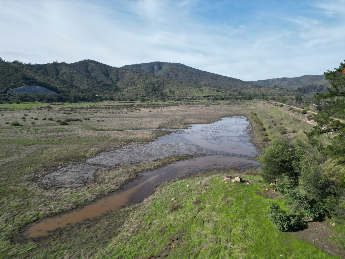 patricio gutierrez tweet media