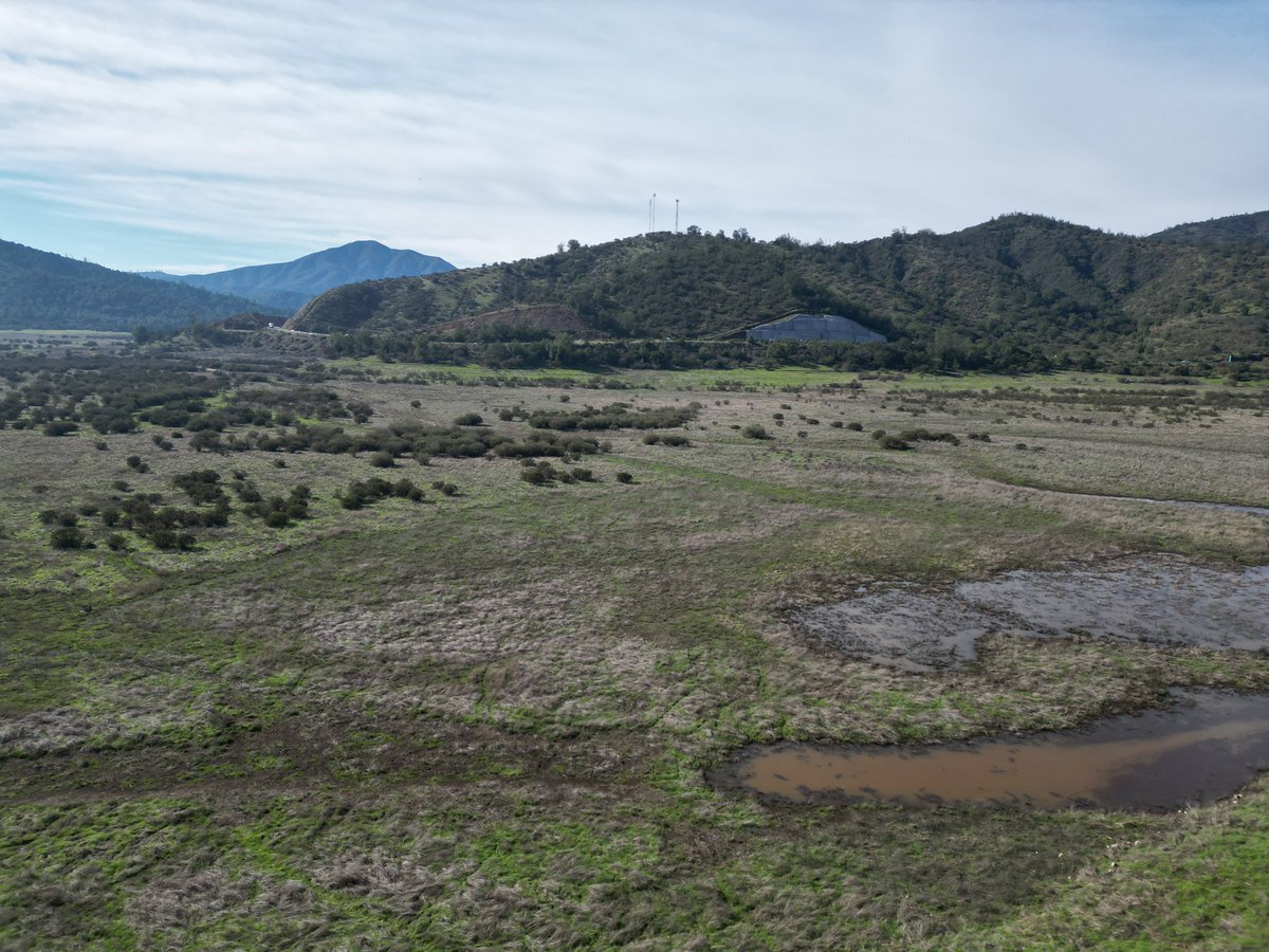 patricio gutierrez tweet media