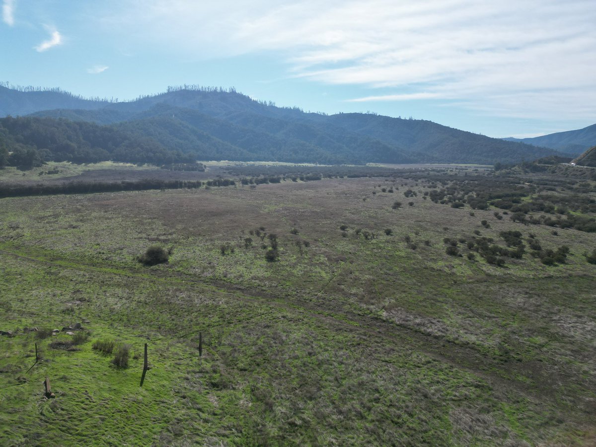 patricio gutierrez tweet media