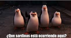 alejaps20's tweet photo. @Maranesca https://t.co/5Pz1ZqEdm2