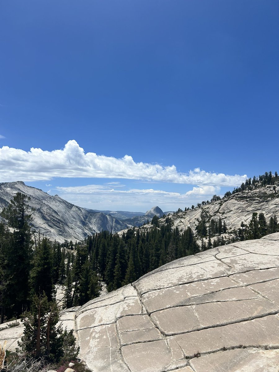 b_sopho's tweet photo. How do paleoclimate grad students spend a day off at Paleocamp? Day trip to Yosemite! Awesome people and fantastic feldspars! :) #paleocamp https://t.co/tgK24jvJAi
