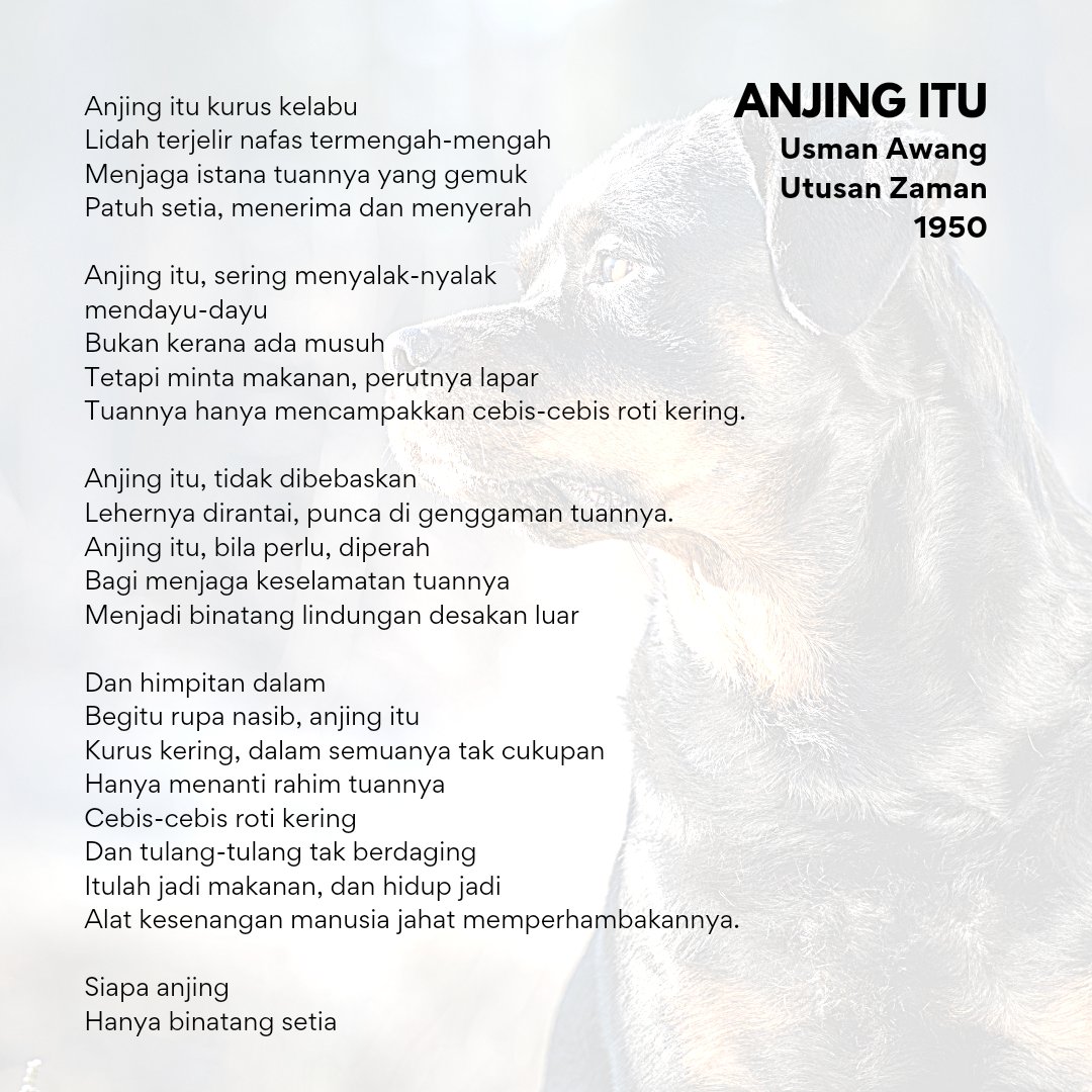 Goldfish tweet media