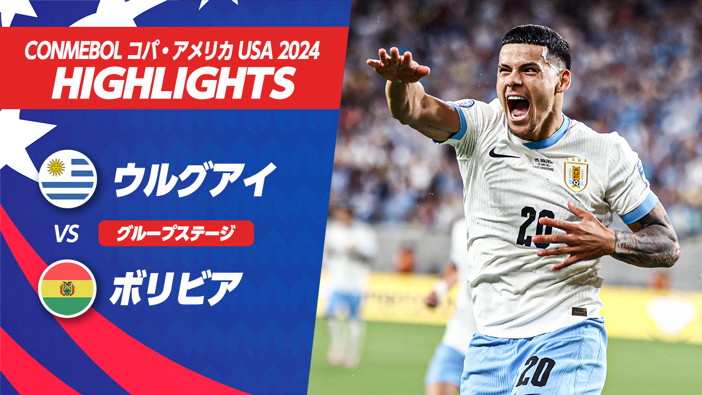 非売品)94年サッカーW杯アメリカ大会 出場国サッカー協会ピンバッジ 
