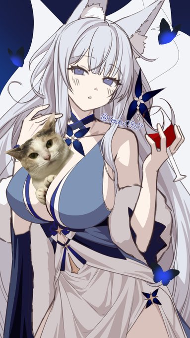 進捗とうちの猫 