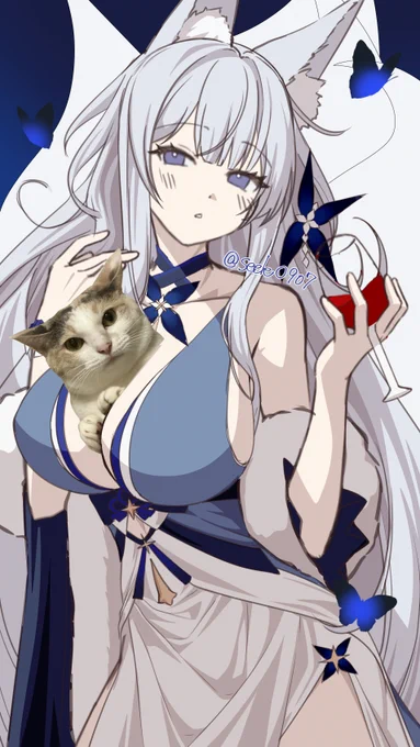進捗とうちの猫 