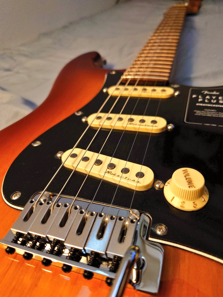 pmasmxlv120's tweet photo. My new gear ...

Fender Player Plus Stratocaster Sienna Sunburst

今年4本目のフェンダー https://t.co/HWqRjYKizg