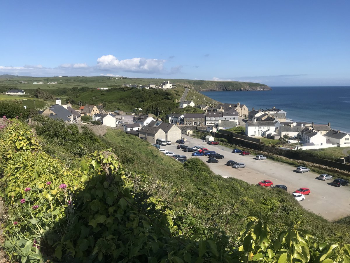 MarydeVille1's tweet image. Good Morning. It's turmeric tea. The start of the coast path high above #Aberdaron and the only place in the village could get a phone signal while staying there last week. #steepclimb Take care All X