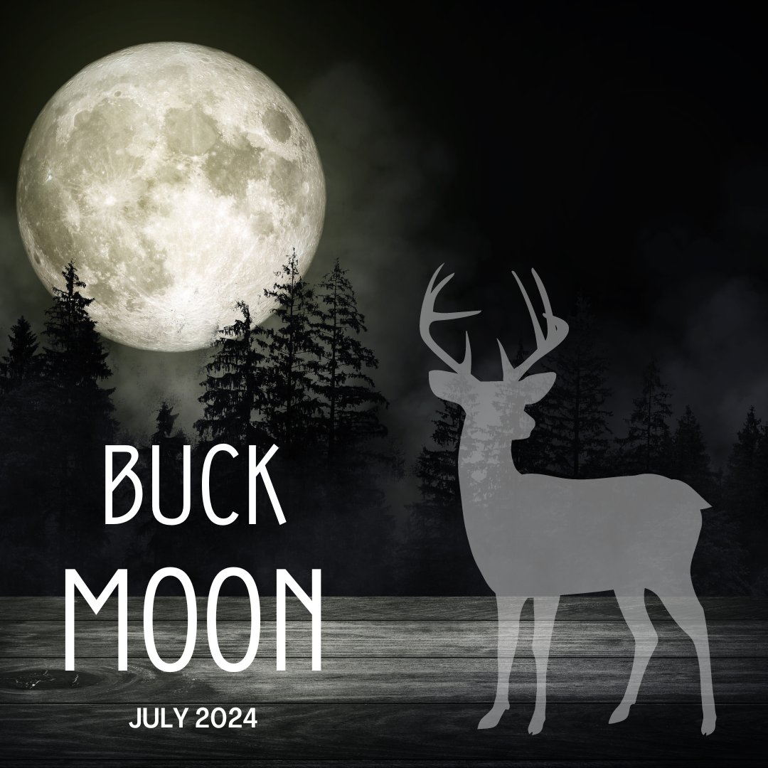 areyouwicked's tweet photo. Tonight's Full Moon in Capricorn is known as the Buck Moon.
This is a time to ignite your ambition and root yourself in practicality & healing.
What are you doing to work towards your goals?
#FullMoon #Capricorn #BuckMoon #Ambition #Healing #WickedWords #StayWicked https://t.co/yLLZJammRK