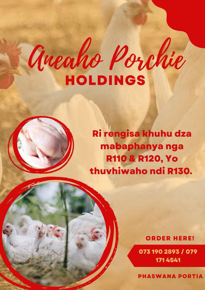 Tribute_SA's tweet photo. DeepWarrios Graphics &amp; Designs Contact us on WhatsApp 0795596859, Let us help your business look presentable 😁

#T20WorldCup2024
#MyBrothersKeeper
#WaterIsLife
#Friday https://t.co/83Pdzlao62