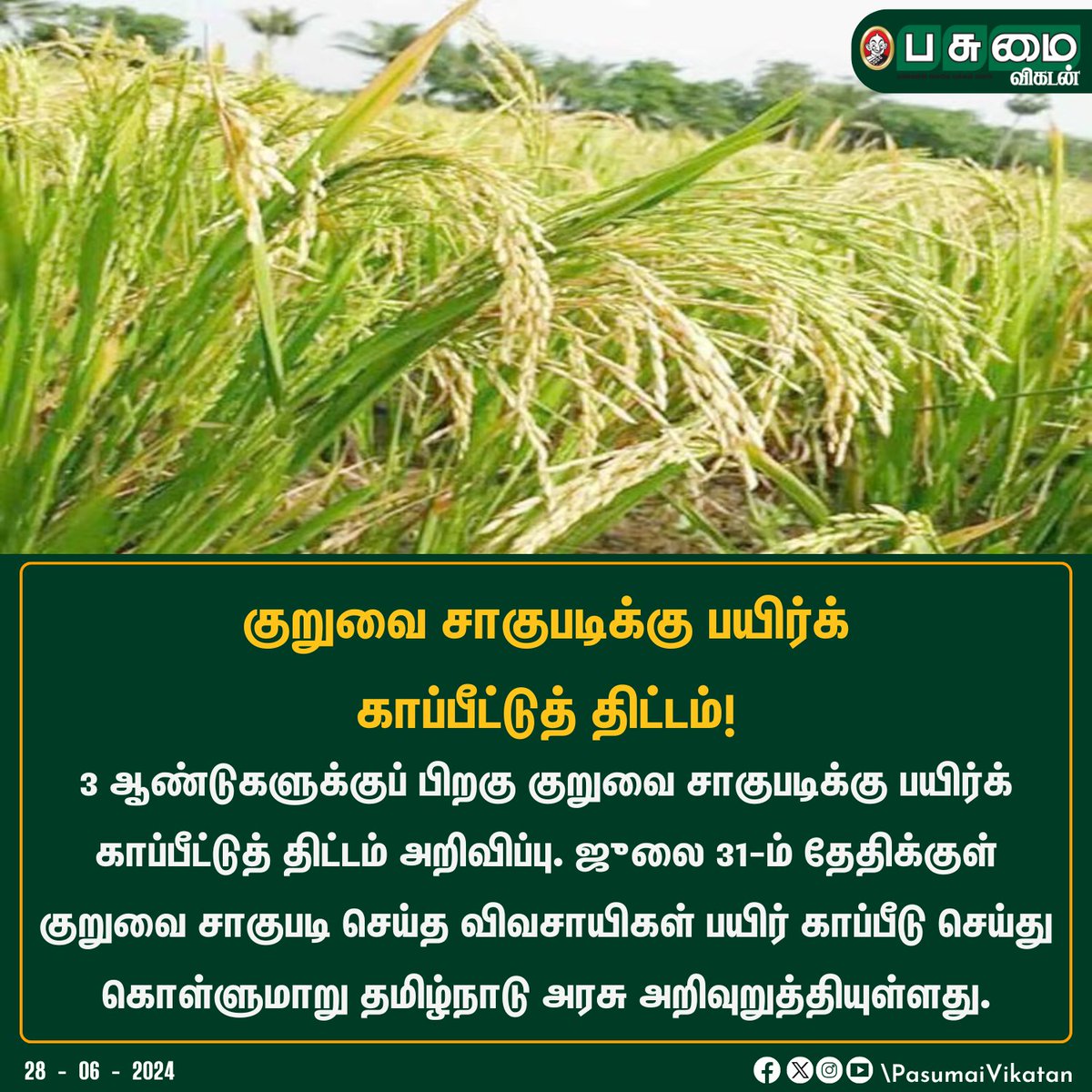 PasumaiVikatan's tweet image. குறுவை சாகுபடிக்கு பயிர்க் காப்பீட்டுத் திட்டம்!

#Paddy #PaddyCultivation #KuruvaiPaddy #Agriculture #Farmer