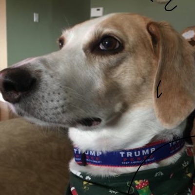 Roger Savage tweet media