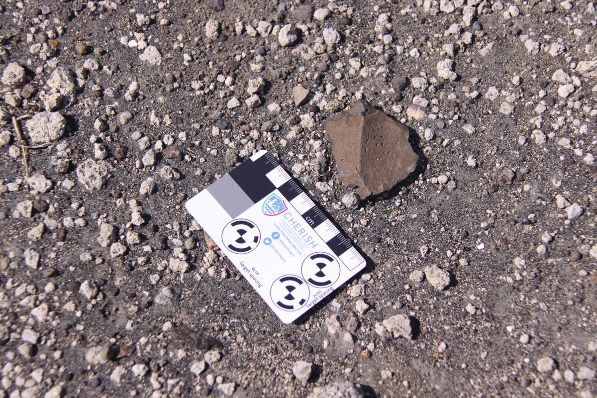 The seasonal river valley below Laetoli footprints erodes Middle Palaeolithic stone tools (and later) needing regular recording #CulturalProtectionFund <a href="/BritishArts/">British Council Arts</a> <a href="/DCMS/">Department for Culture, Media and Sport</a> <a href="/dickybates2/">Richard Bates</a> @DonaldHerd3  <a href="/UdsmOfficial/">University of Dar es Salaam</a> <a href="/DiscProg/">The Discovery Programme</a> <a href="/MuseumTanzania/">National Museum of Tanzania</a> <a href="/MNRT_Tanzania/">Wizara ya Maliasili na Utalii</a> <a href="/IchumbakiE/">Elgidius Ichumbaki, Ph.D.</a> <a href="/urithiwetutz/">Urithi Wetu</a>