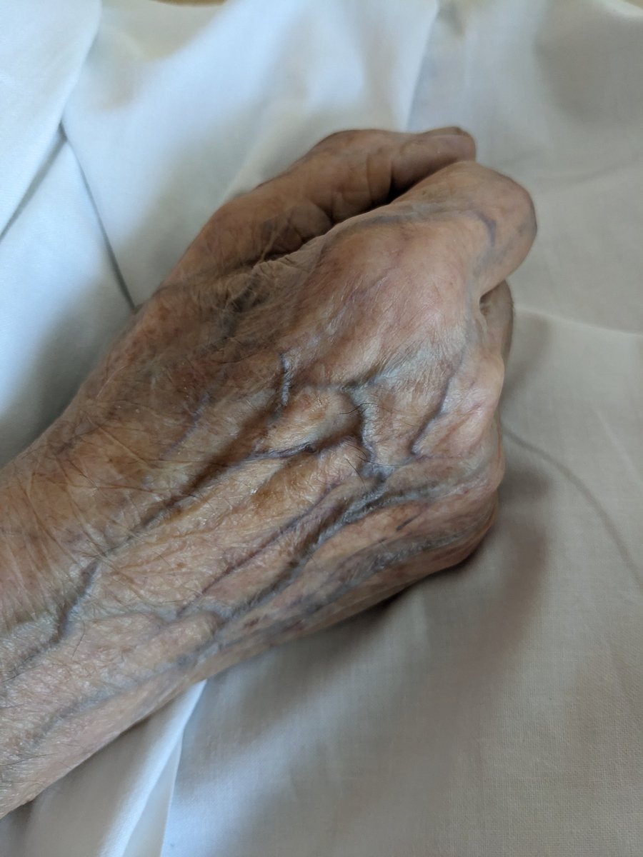 Traces et Petits Cailloux tweet media