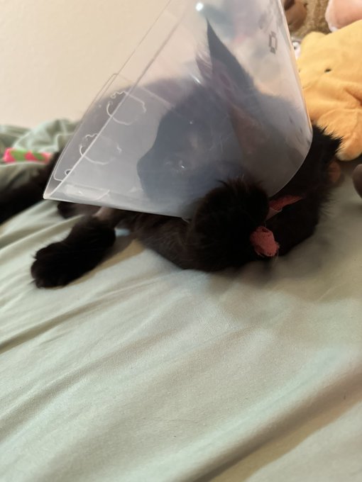 thinkin about what she did https://t.co/ViiOLzzfVz