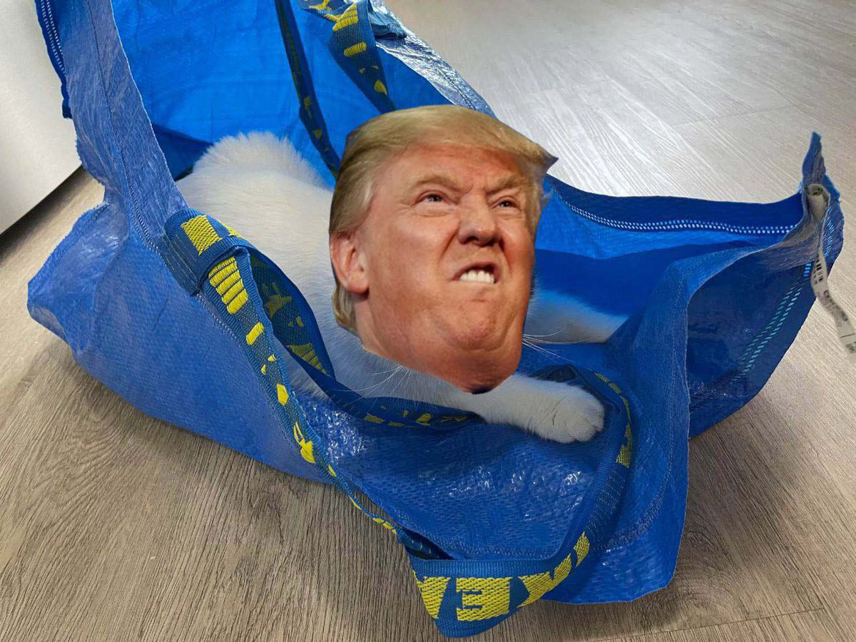 ffeelinggs.sats🩸 tweet media