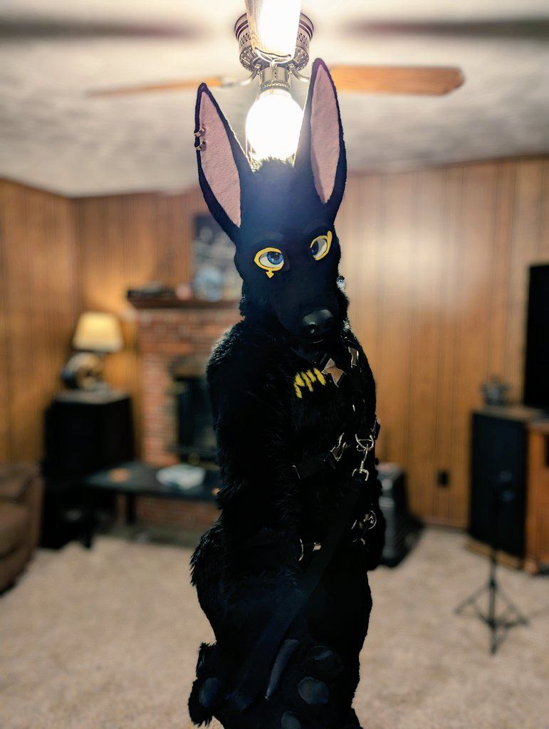 Now accepting slots for suit commissions. Here's my latest work. DM me for details!

Featuring <a href="/AlexeiJackal/">✨Alexei✨</a>