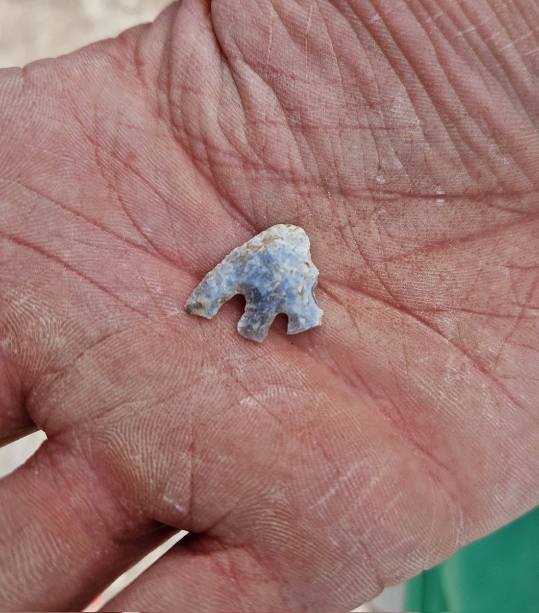 Durotrigesdig's tweet photo. An early start to #FindsFriday as Jon spots this beaut of an Early Bronze Age flint barbed and tanged projectile point / arrowhead

Gert lush 🤩

Another hint of pre Iron Age activity at #Durotriges24 https://t.co/TuJlDHbXrn