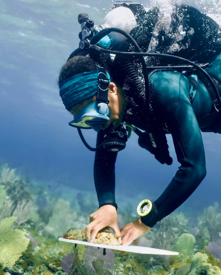 "At work, I spend hours underwater and I get cold easy. This is my fave suit: fourth element Surface Suit - a 4/3mm that is really flexible, super warm and is also sustainably made" &gt; bit.ly/SurfaceFE
@alannahvellacott Marine Ecologist

#fourthelement #coral #wetsuit