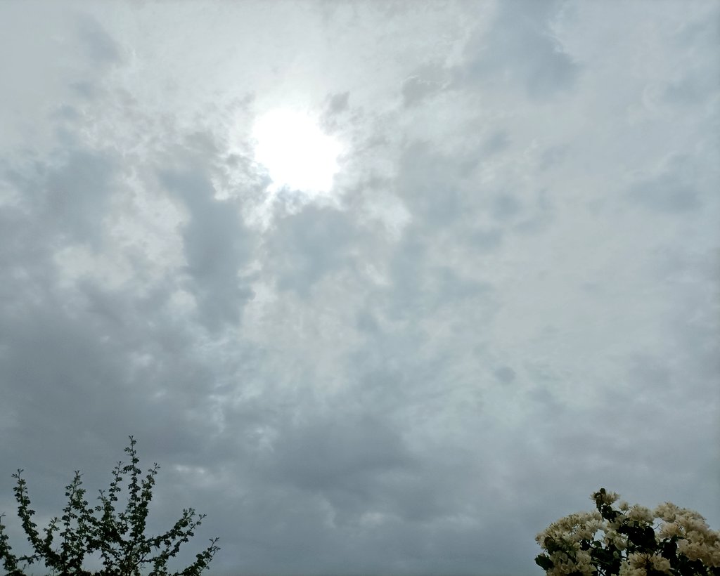 صباح #الأجواء_الخريفيه الجميله بسواحل شمال #بحر_العرب والقرى المحاذيه لشريط #جعلان_بني_بوعلي الساحلي
#صباح_الخير 
#يوم_الجمعة