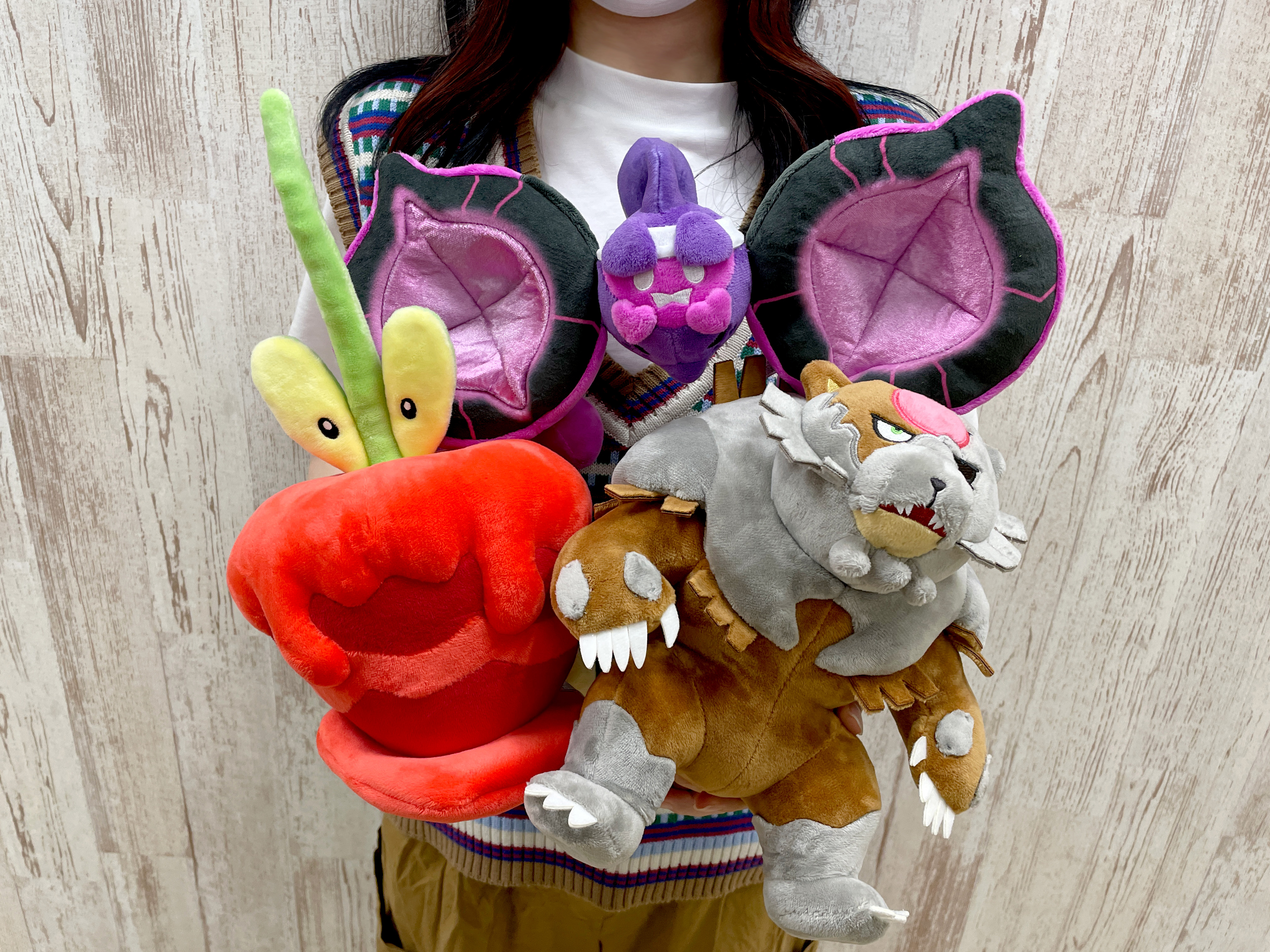 【まとめ売り】ポケセン限定 キタカミ地方 ぬいぐるみ6点セット＋おまけ ポケモンだいすきクラブ編集部【公式】 on X: 
