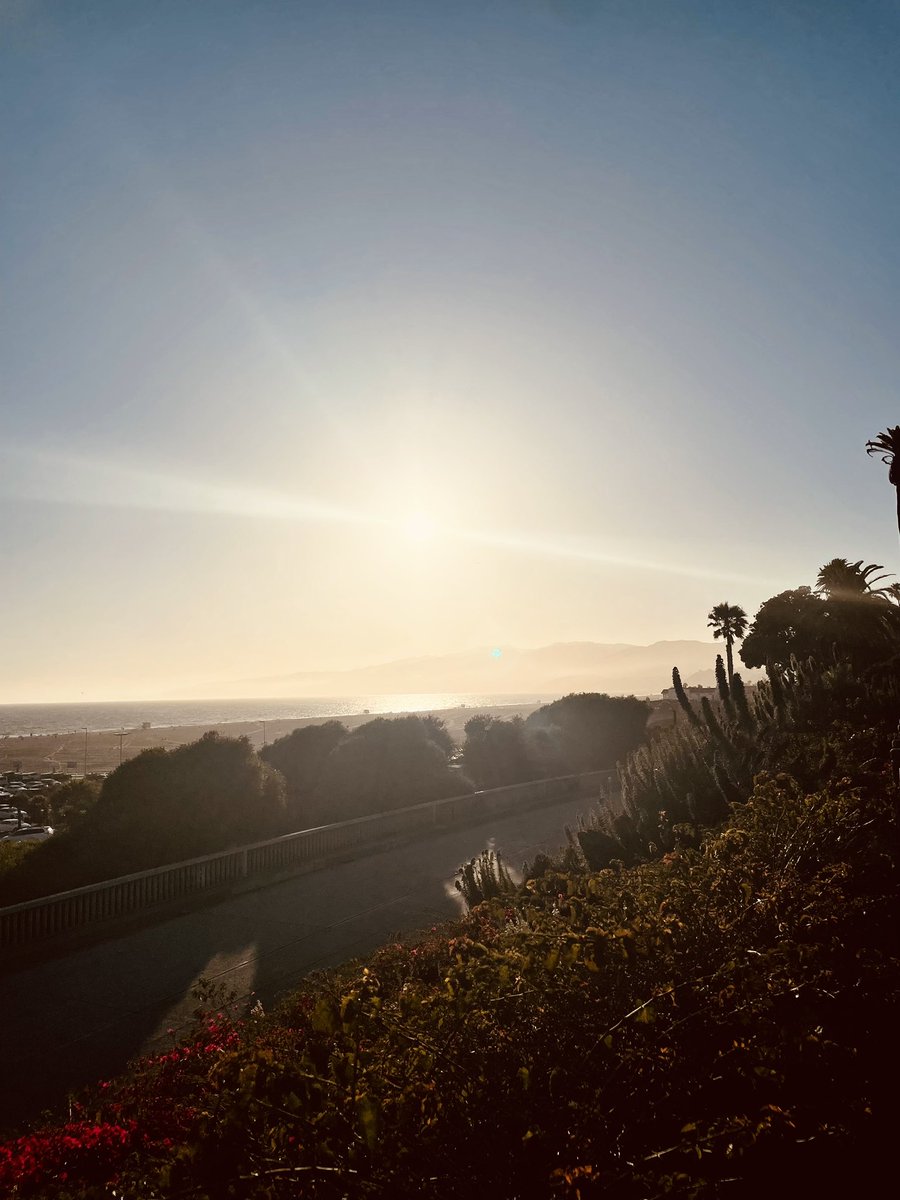 Joel Wright 🇯🇲 tweet media