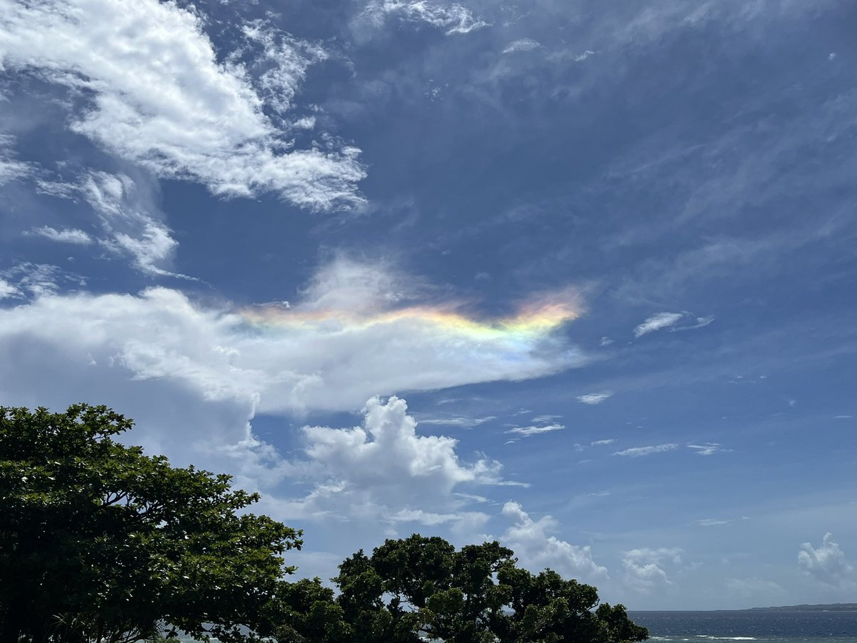 沖縄に来たら龍が🐉