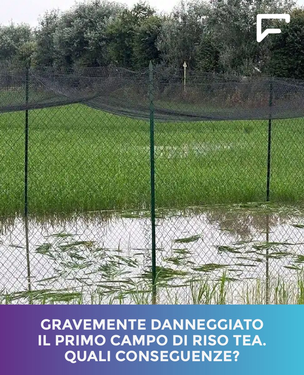 Lo abbiamo chiesto a Roberto Defez, microbiologo del CNR di Napoli, in questo articolo di #FattiperCapire: museoscienza.org/it/fatti-per-c…