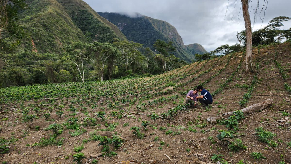 Matias Jensen (@matojensen) on Twitter photo 