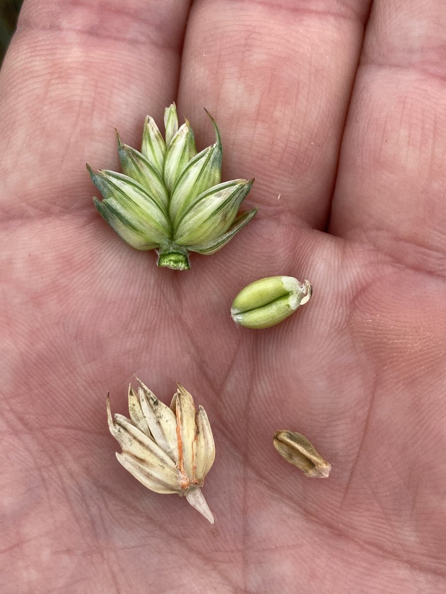 Emmanuel BONNIN tweet media