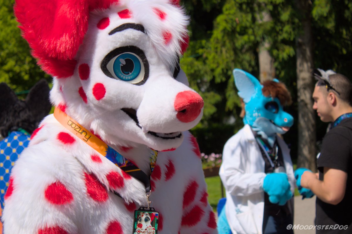 Happy #fursuitfriday!
📸: <a href="/MoodysterDog/">Moody</a> 
✂️: <a href="/StuffedTailsFur/">StuffedTailsFursuits |STF|</a> 
📍: <a href="/FurizonEvents/">Furizon</a>