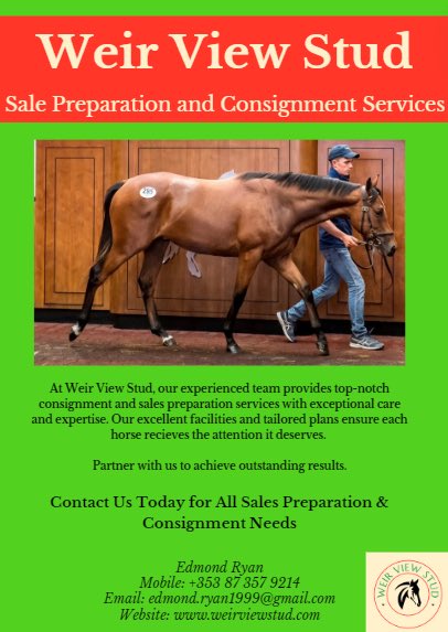 Weir View Stud (@weirviewstud) on Twitter photo Contact Us Today ๐ Contact Us Today ๐