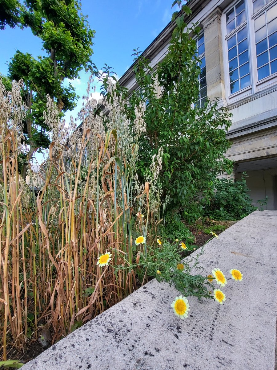 ColbertParis tweet media