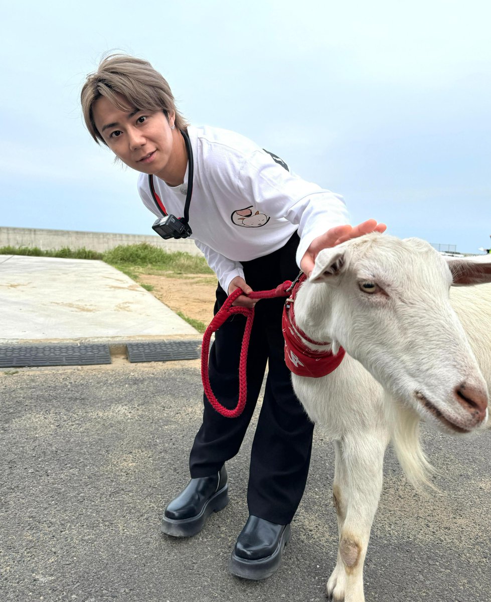 oricon's tweet photo. 『ヤギと大悟』2時間SPで復活❗️

北山宏光＆相武紗季が
ヤギのポポちゃんに振り回される !? 🐐🌱

ポポちゃんとの再会に“相棒”大悟は…
｢照れ臭かったね。ポポもそうやったと思う」
https://t.co/Co40SM3nPf

#ヤギと大悟 @yagitodaigo https://t.co/L8M5USOOee