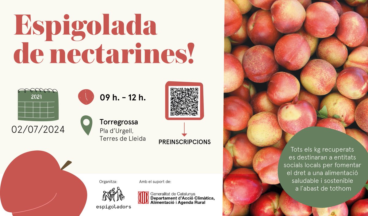 Espigoladors (@espigoladors) on Twitter photo 📢#SAVETHEDATE | Us necessitem per espigolar quilos i quilos de nectarines excloses del mercat! Tots els kg recuperats es destinaran a entitats socials locals!⚠️
🗓️ 02/07
🕐 9 - 12 h.
📍Torregrossa, Pla d’Urgell (Lleida)
Us hi animeu? ➡️lc.cx/QRxvfy
<a href="/agriculturacat/">Agricultura</a> 📢#SAVETHEDATE | Us necessitem per espigolar quilos i quilos de nectarines excloses del mercat! Tots els kg recuperats es destinaran a entitats socials locals!⚠️
🗓️ 02/07
🕐 9 - 12 h.
📍Torregrossa, Pla d’Urgell (Lleida)
Us hi animeu? ➡️lc.cx/QRxvfy
<a href="/agriculturacat/">Agricultura</a>