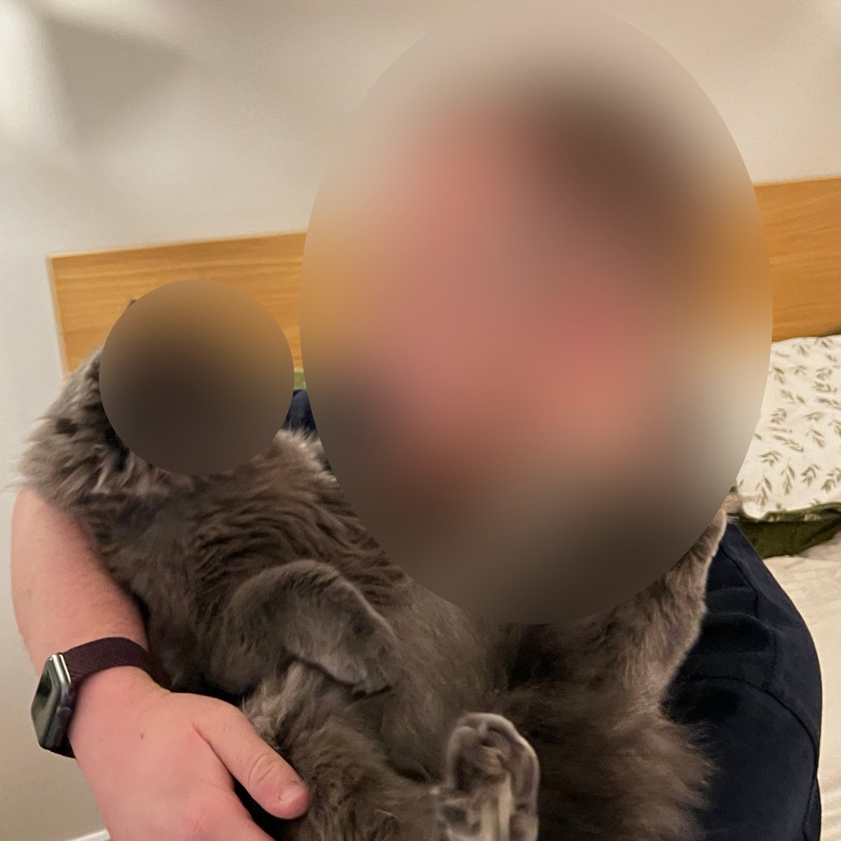 ScotRail's tweet image. Well, it's finally happened. HR have been in touch. I've to clear my desk. Today is my last day.

I start my train driver training on Monday. It's been fun. ^Angus