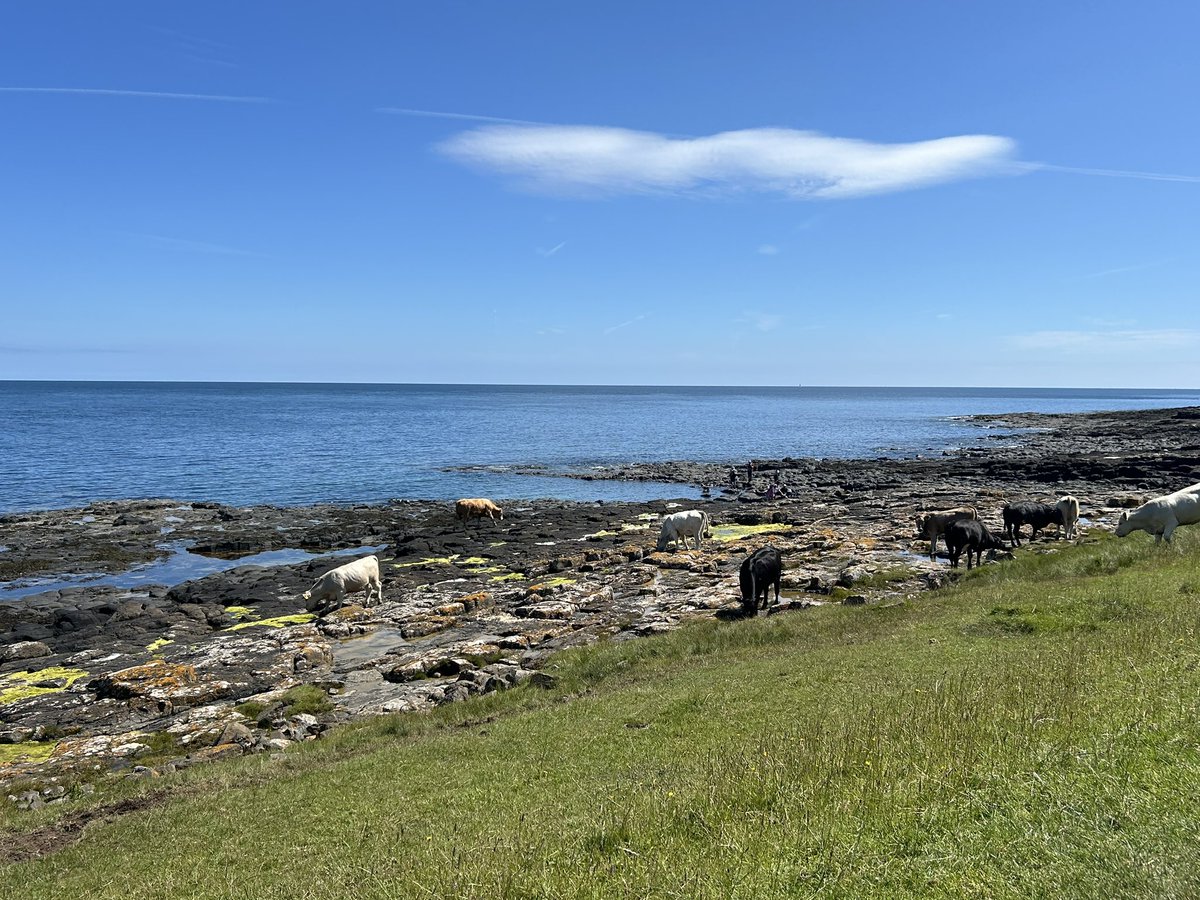 Ruby George tweet media