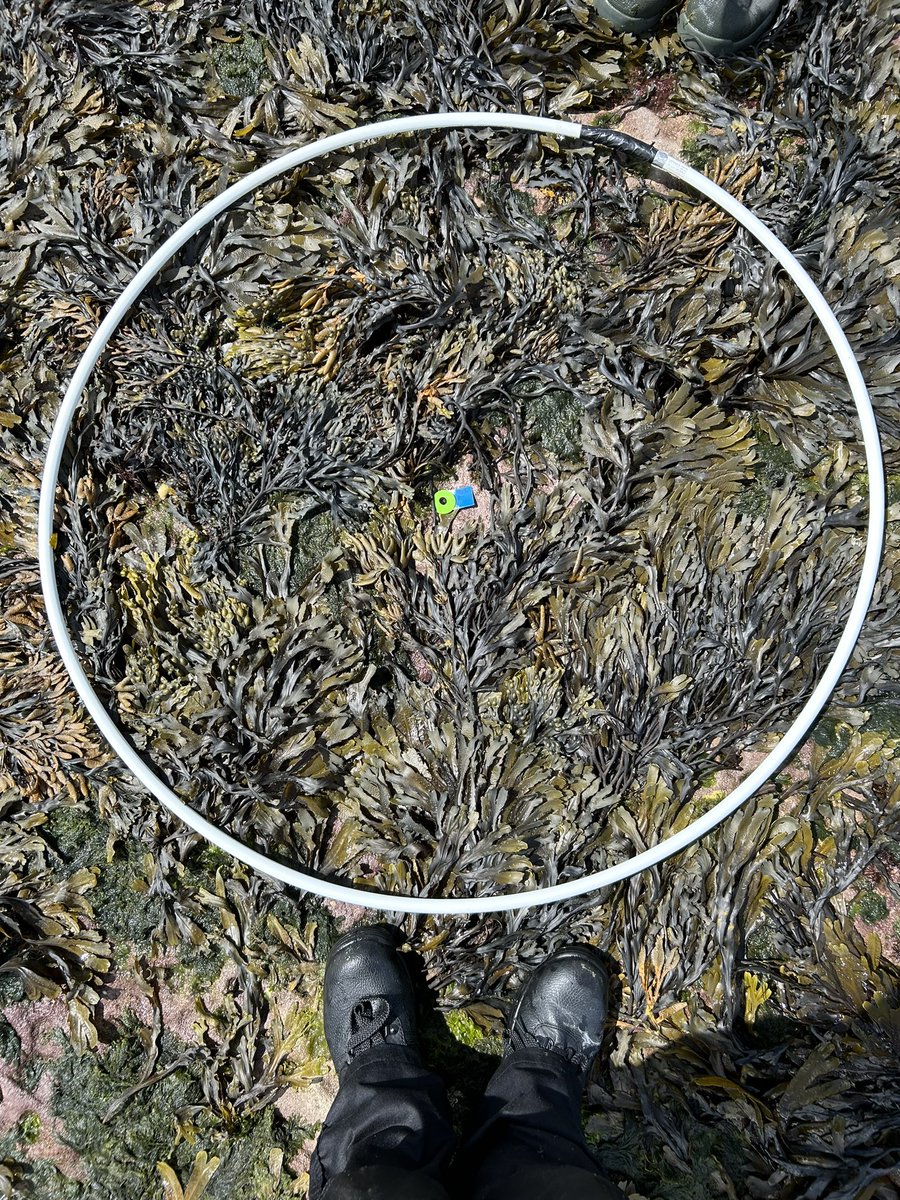 Ruby George tweet media