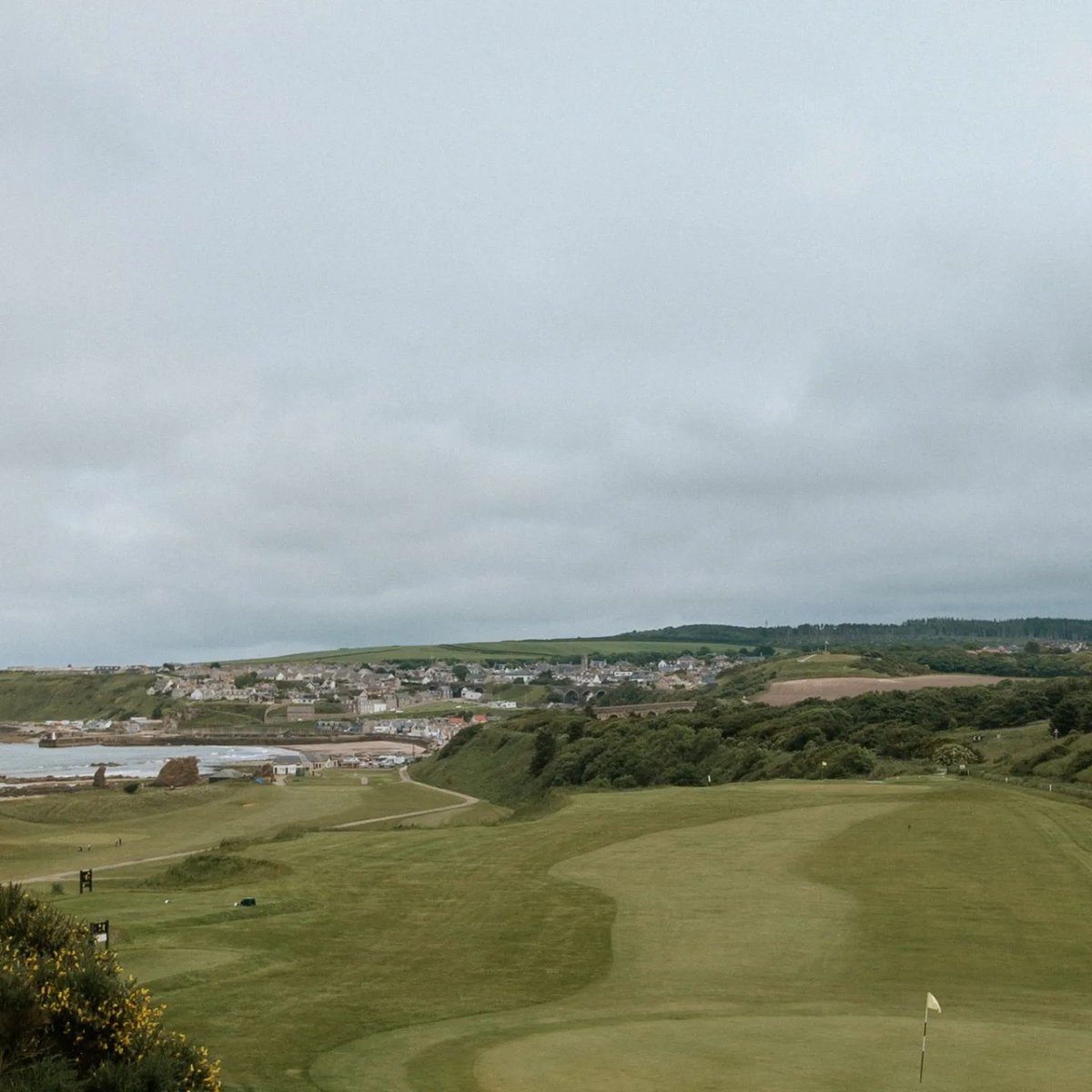 Moray Speyside Golf 🏴󠁧󠁢󠁳󠁣󠁴󠁿 tweet media